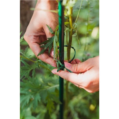 Подвязки для растений, длина 23 см, набор 30 шт., Greengo