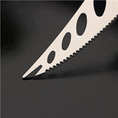 Нож для сыра Доляна «Ломоть», ручка из гевеи, 14,4×3 см