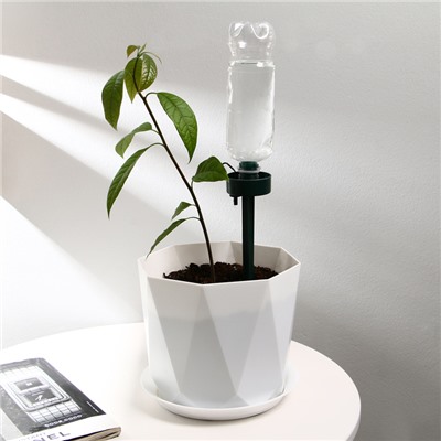 Автополив для комнатных растений Greengo под бутылку, регулируемый, тёмно-зелёный, из пластика, высота 25 см