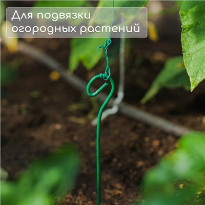 Колышек для подвязки растений, h = 30 см, d = 0,3 см, проволочный, зелёный, Greengo