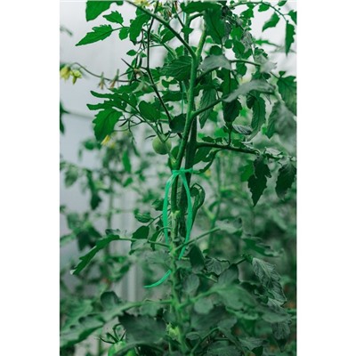 Шпагат для подвязки растений, 300 м, полипропилен, Greengo