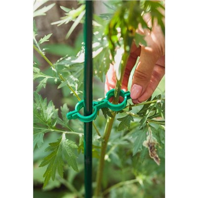 Клипса садовая, d = 20 мм, набор 20 шт., зелёный, Greengo
