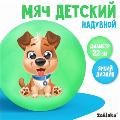 Мяч детский ZABIAKA «Пёсик», d=22 см, 60 г, цвет МИКС