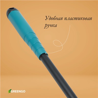 Грабли малые, прямые, 5 зубцов, длина 28,5 см, металл, пластиковая ручка, Greengo